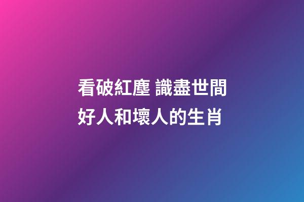 看破紅塵 識盡世間好人和壞人的生肖